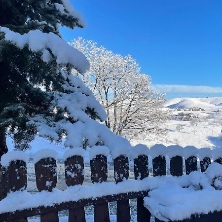 Guest House Vila Djokic Zlatibor Luaran gambar
