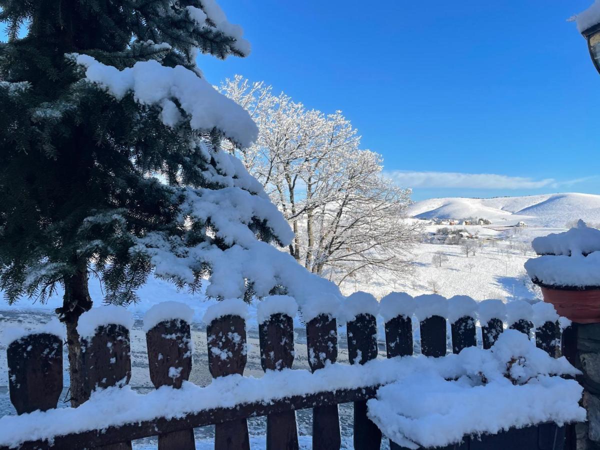 Guest House Vila Djokic Zlatibor Luaran gambar