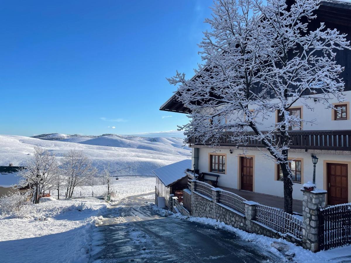 Guest House Vila Djokic Zlatibor Luaran gambar